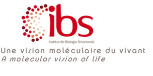Encyclopédie environnement - logo ibs