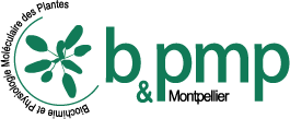 logo b&pmp