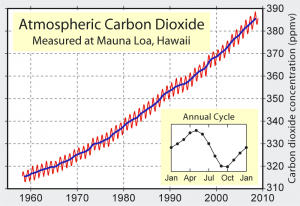 Figure 4. Évolution sur 57 ans de la concentration de CO2 dans l'air à l'observatoire de Mauna Loa. La figure en encart détaille la chute saisonnière du CO2 durant la saison de végétation (d'avril à octobre) et son élévation en automne/hiver de l'hémisphère nord (la végétation terrestre est plus importante dans l'hémisphère nord). [source : Delorme. Travail personnel. Données de Dr. Pieter Tans, NOAA/ESRL and Dr. Ralph Keeling, Scripps Institution of Oceanography.]