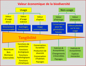 Encyclopédie environnement - biodiversité - valeurs reconnues à la biodiversité