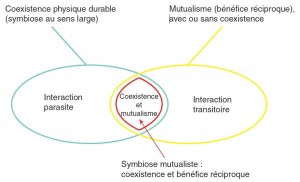Encyclopédie environnement - parasites - Relations entre symbiose et mutualisme