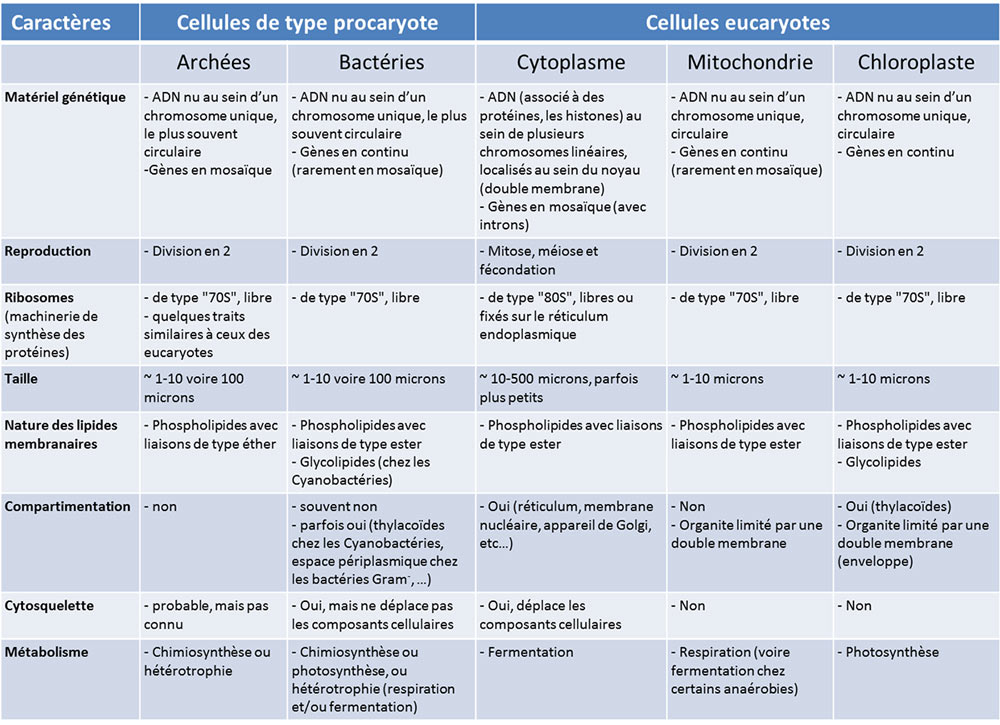 Encyclopedie environnement - eucaryote - tableau 1