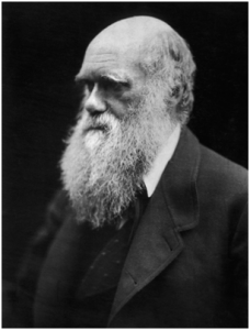 Encyclopédie environnement - photo de Darwin - 