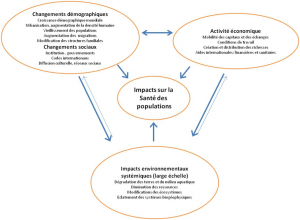 Encyclopédie environnement - changement climatique - schéma résumé impact climat sur santé