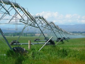 Encyclopedia environment - water shortage - large-scale irrigation 