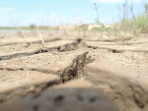 EncyclopÃ©die environnement - pÃ©nurie d'eau - formation de terres arides