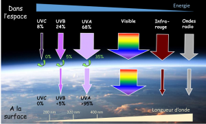 Encyclopédie environnement - impacts UV ADN - composition rayonnement solaire
