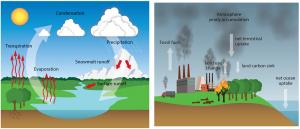 Encyclopédie environnement -modèles biosphère, hydrosphère, cryosphère - cycle eau et carbone