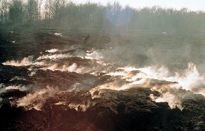 Encyclopédie environnement - tourbière marais - Incendie dans une tourbière de la baie du Mont-Saint-Michel