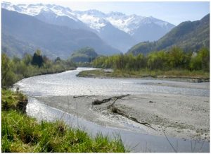 Encyclopedie environnement - paysages alluviaux alpins - depot sable limoneux massette