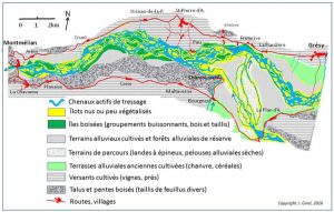 Encyclopedie environnement - paysages alluviaux alpins - biodiversite plaine alluvial tresse isere