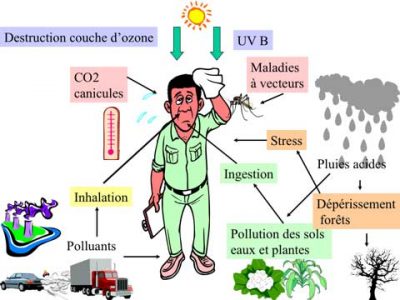 Encyclopédie environnement - pollution atmosphérique air - Les principaux effets de la pollution atmosphérique sur la santé