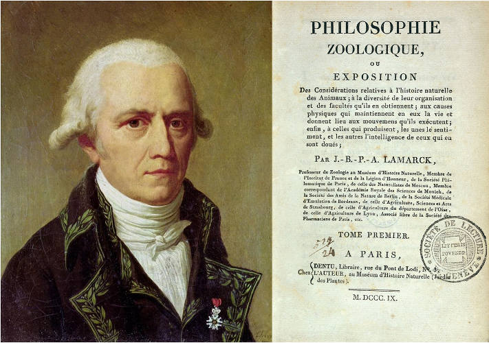 Lamarck et Darwin : deux visions divergentes du monde vivant - Encyclopédie de l'environnement