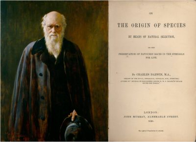 darwin - portrait - evolution - especes - darwinisme - encyclopedie environnement