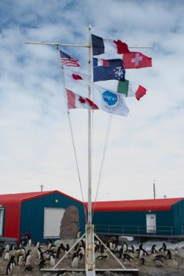 drapeaux station dumont d'urville - terre adelie - antarctique - encyclopedie environnement