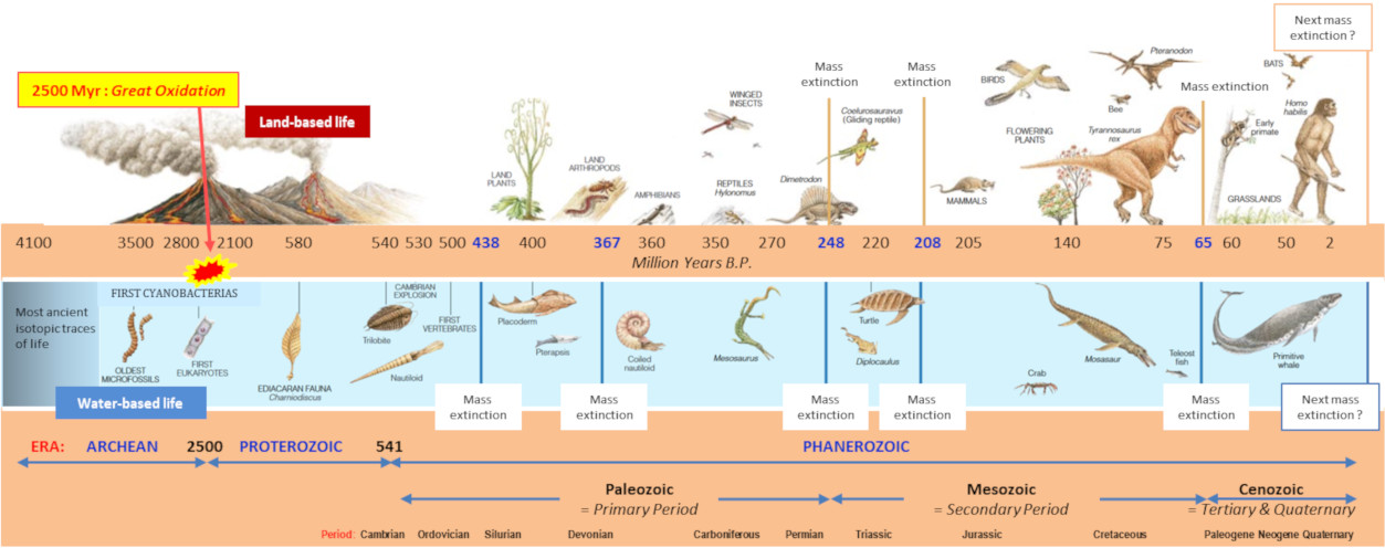 环境百科全书-生物圈-生物在地质时期的进化