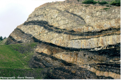 环境百科全书-生物圈-石炭纪塞文山脉的煤层