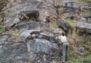 Encyclopédie environnement - l'origine de la vie - Stromatolite - morphological marker - stromatolites 