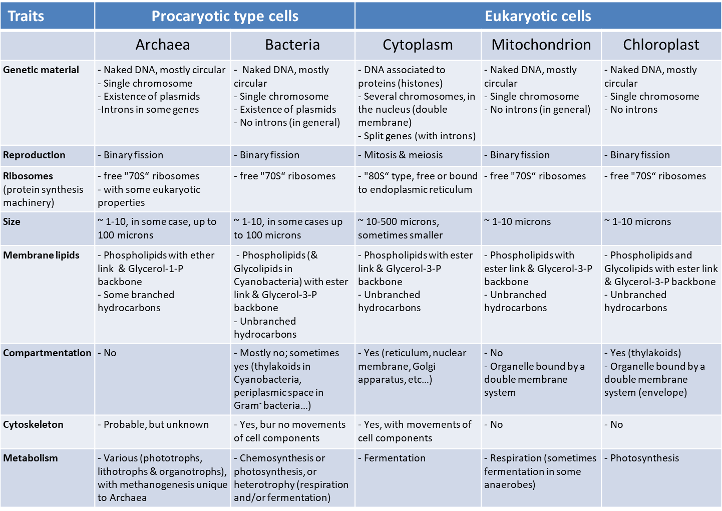 Eukaryotic Cell Organelles And Functions Chart