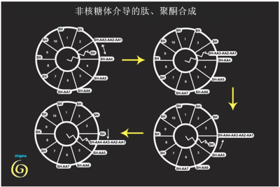 环境百科全是-生命-第一批分子的合成