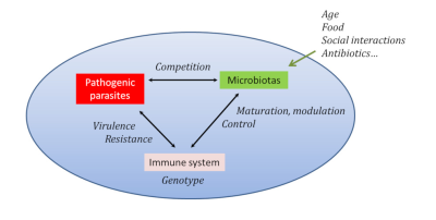 环境百科全书-生命-宿主与其寄生虫/病原体之间相互作用的微生物调节