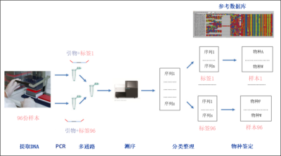 环境百科全书-生命-生物多样性