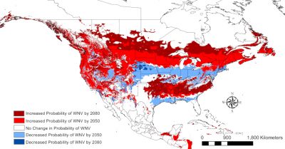 west nile virus USA map