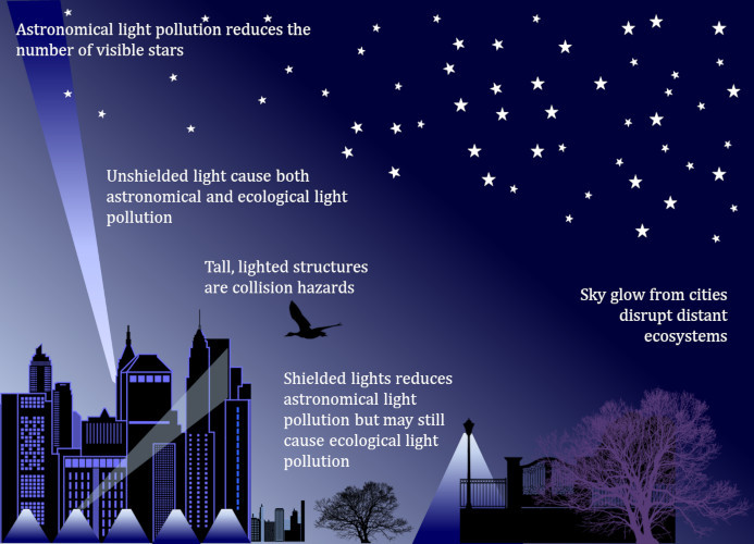 What is the ecological impact of light pollution? - Encyclopedia of the Environment