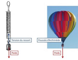 Encyclopedie environnement - dynamique - Equilibres de forces opposees - equilibria of oppposite forces 