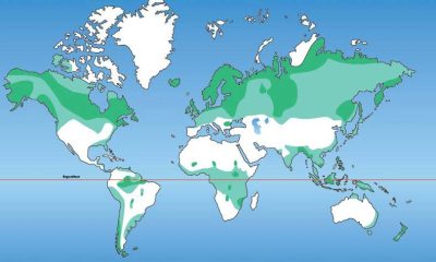 环境百科全书-泥炭地-泥炭地的全球分布