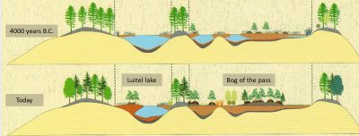 环境百科全书-泥炭地-卢特尔沼泽地演化的两个阶段