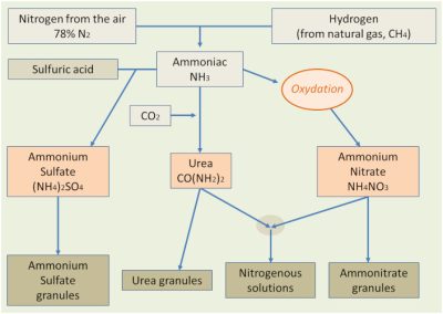 环境百科全书-环境中的硝酸盐-氮肥合成途径