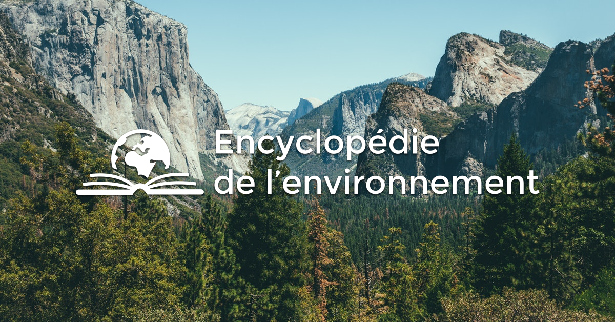 (c) Encyclopedie-environnement.org