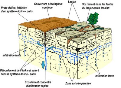 karst - Encyclopedie de l'environnement - L'épikarst et l'aquifère épikarstique - epikarst aquifer