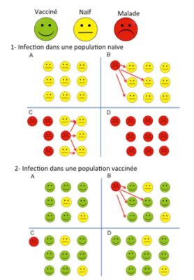 环境百科全书-疫苗-群体免疫现象