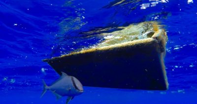 plastic pollution oceans