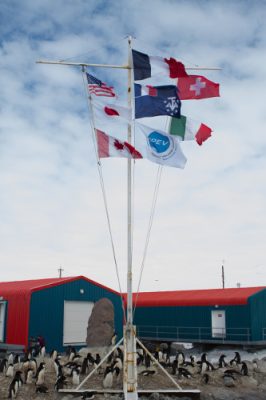 环境百科全书-《南极条约》：环境与科学的独特治理-旗帜
