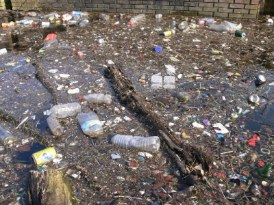 环境百科全是-生命-2006 年法国北部德勒河的支流上漂浮的废弃物