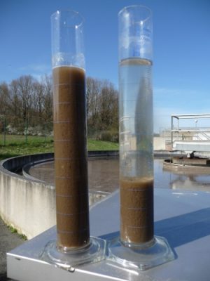 biomasse - reacteur boue activee - traitement eaux - treated water - biomass - activated sludge reactor 