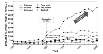 环境百科全书-运用数学模型可以更有效地管理捕鱼-塞内加尔“青铜石斑鱼”