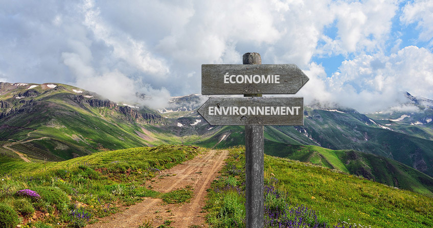 economie environnement theorie