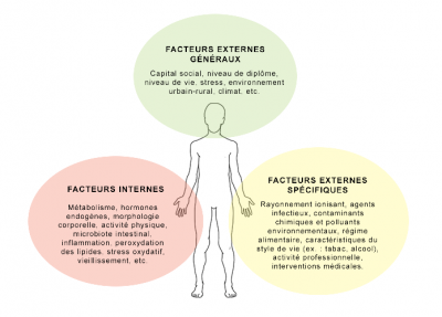 diagramme exposome - exposome