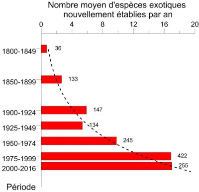 invasion insectes - insectes europe schema - insectes