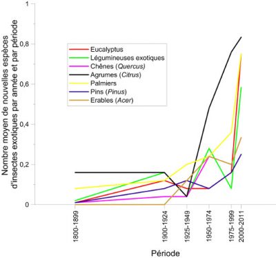 colonisation insectes europe