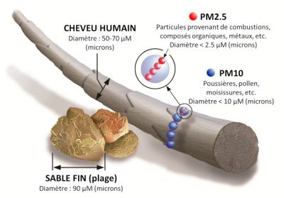 taille particule air - particule air pollution - schema particule pollution