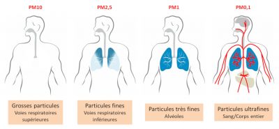 particules air poumons - pollution poumons