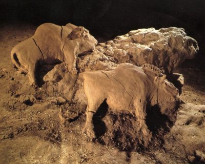 环境百科全书-黏土-洞穴的野牛