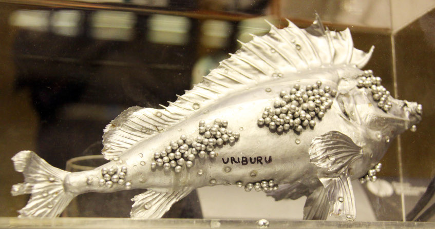mercure poisson - convention minamata