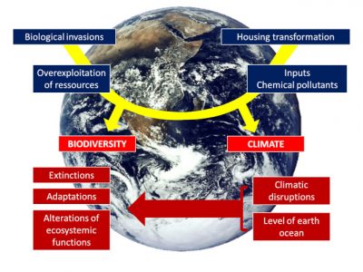 global change - global warming