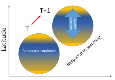 response warming - global change - global warming